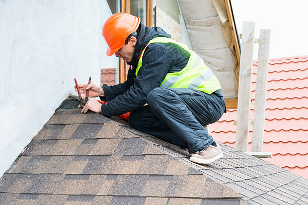 Best Metal Roofing Contractor  in Eldora, IA